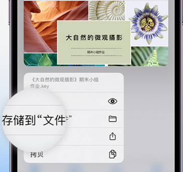 固阳apple维修中心分享iPhone文件应用中存储和找到下载文件