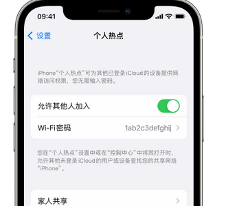 固阳apple服务站点分享iPhone上个人热点丢失了怎么办 