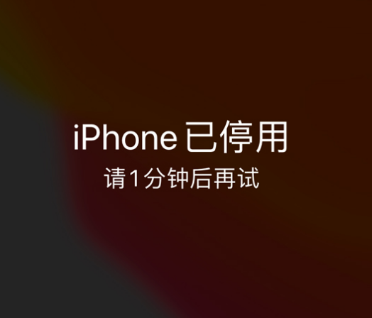 固阳苹果手机维修分享:iPhone 显示“不可用”或“已停用”怎么办？还能保留数据吗？ 