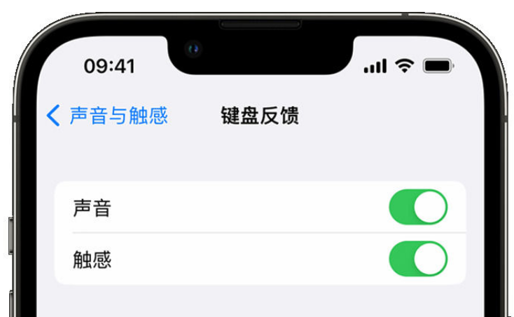 固阳苹果手机维修分享iPhone 14触感键盘使用方法 