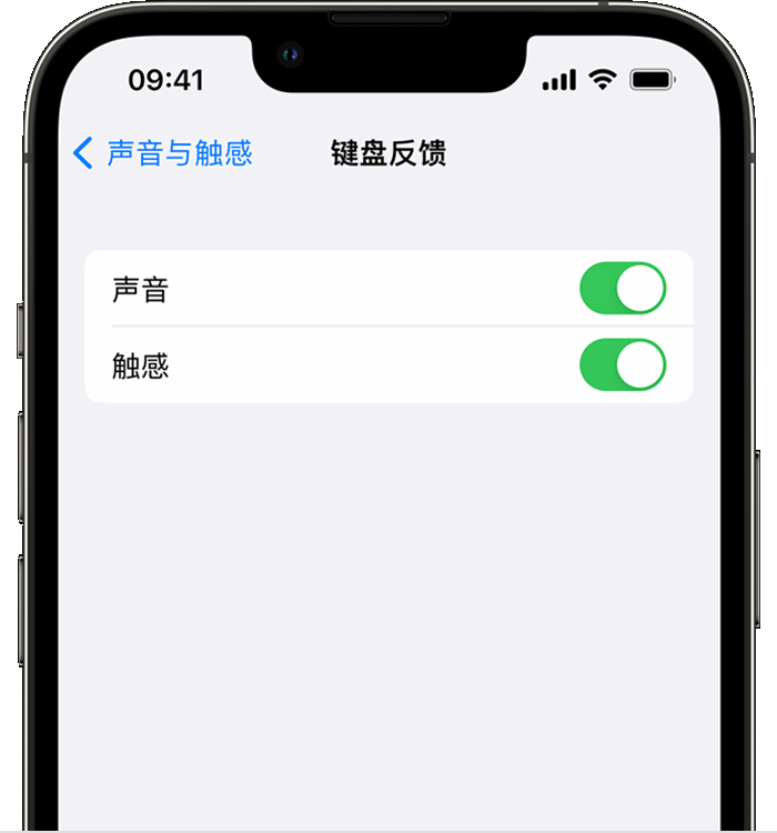 固阳苹果14维修店分享如何在 iPhone 14 机型中使用触感键盘 