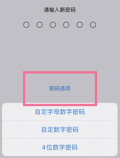 固阳苹果14维修分享iPhone 14plus设置密码的方法 