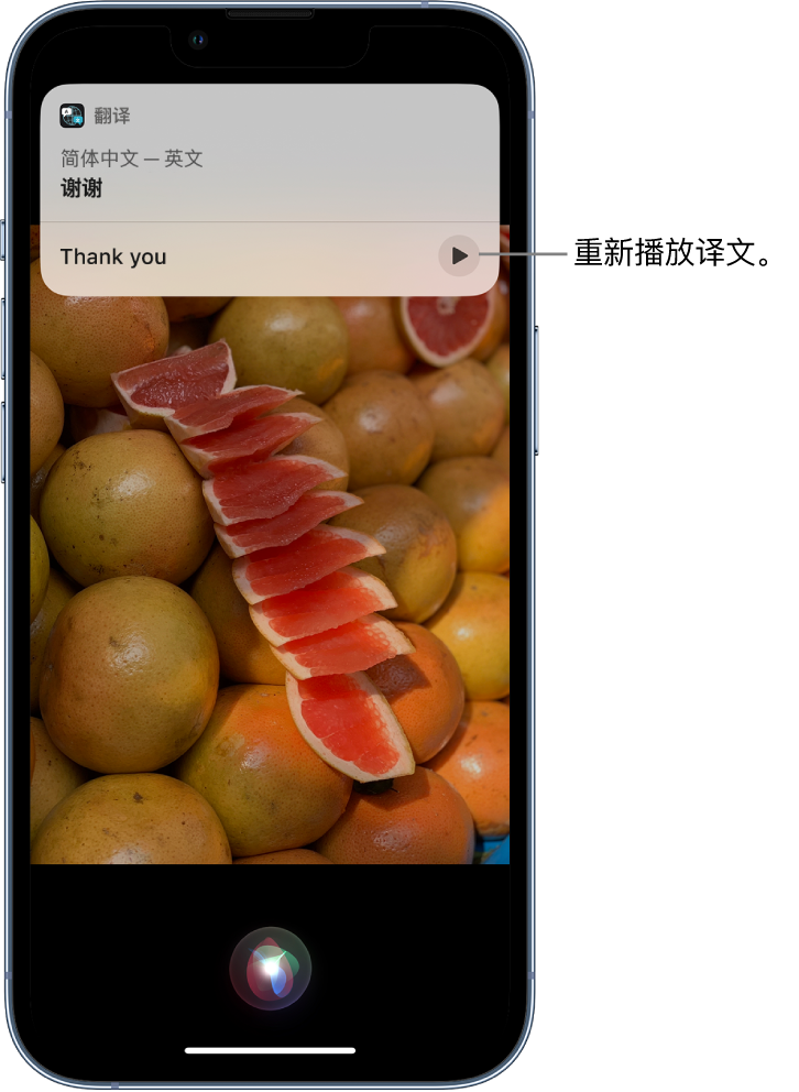 固阳苹果14维修分享 iPhone 14 机型中使用 Siri：了解 Siri 能帮你做什么 