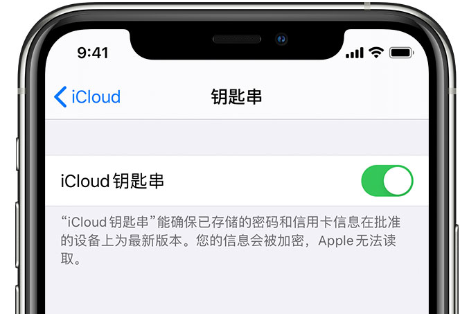 固阳苹果手机维修分享在 iPhone 上开启 iCloud 钥匙串之后会储存哪些信息 