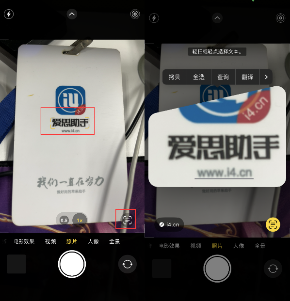 固阳苹果手机维修分享升级iOS 16后如何通过相机翻译文本 