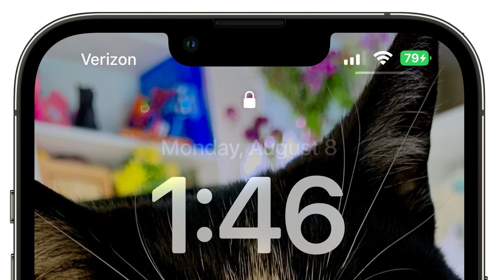 固阳苹果手机维修分享iOS 16 beta 5 支持状态栏显示电池百分比，如何开启？支持哪些机型 