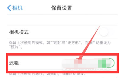 固阳苹果13维修分享iPhone13拍照有绿点是怎么回事 