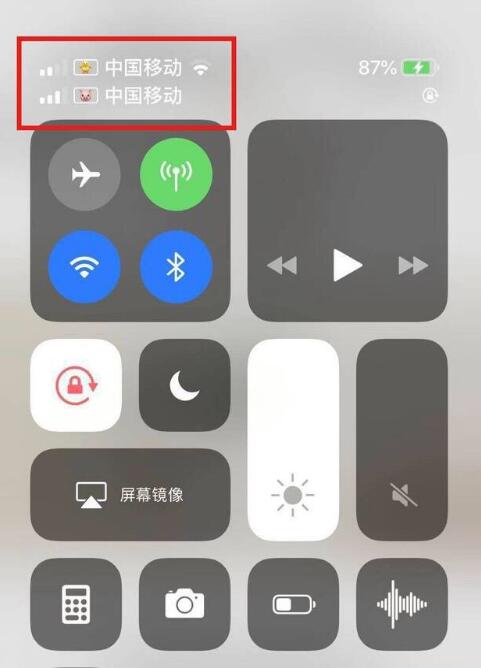固阳苹果手机维修分享为 iPhone 12 双卡设置标签 